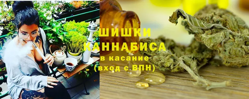 как найти   Северск  Канабис индика 